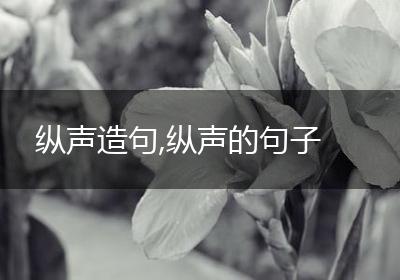 纵声造句,纵声的句子