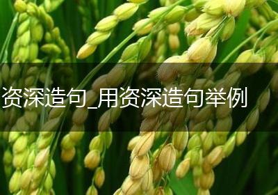 资深造句_用资深造句举例