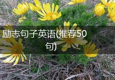 励志句子英语(推荐50句)