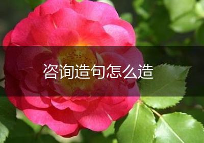 咨询造句怎么造