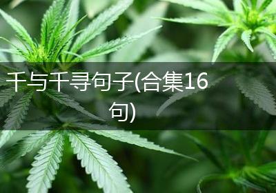 千与千寻句子(合集16句)