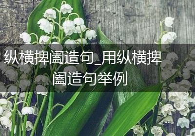 纵横捭阖造句_用纵横捭阖造句举例