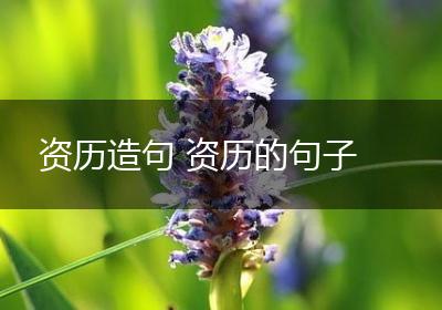 资历造句 资历的句子