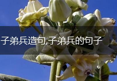 子弟兵造句,子弟兵的句子