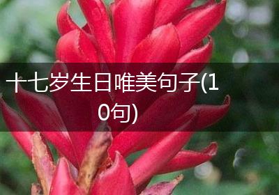 十七岁生日唯美句子(10句)