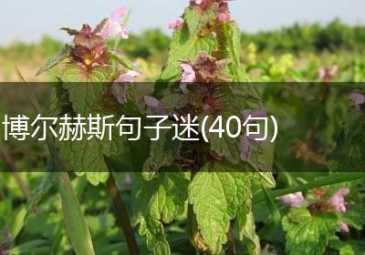 博尔赫斯句子迷(40句)