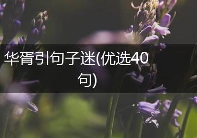 华胥引句子迷(优选40句)