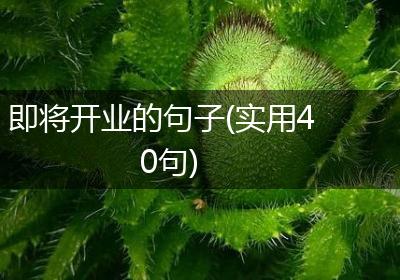 即将开业的句子(实用40句)