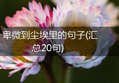 卑微到尘埃里的句子(汇总20句)