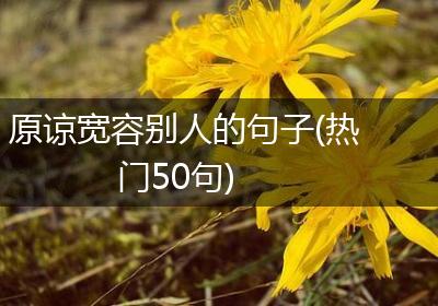 原谅宽容别人的句子(热门50句)