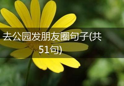 去公园发朋友圈句子(共51句)