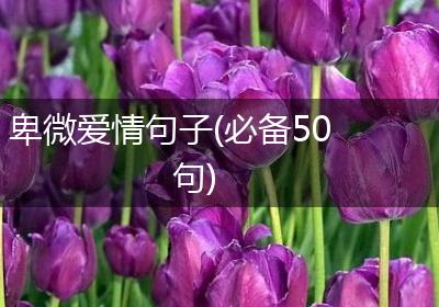 卑微爱情句子(必备50句)