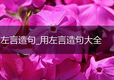 左言造句_用左言造句大全