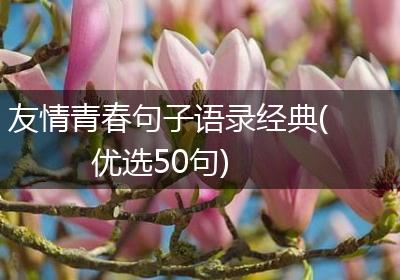 友情青春句子语录经典(优选50句)