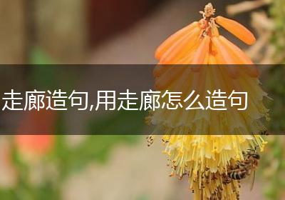 走廊造句,用走廊怎么造句