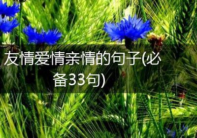 友情爱情亲情的句子(必备33句)