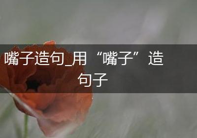 嘴子造句_用“嘴子”造句子