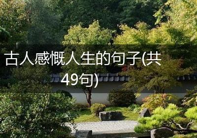 古人感慨人生的句子(共49句)
