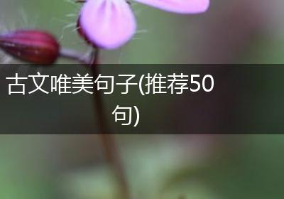 古文唯美句子(推荐50句)