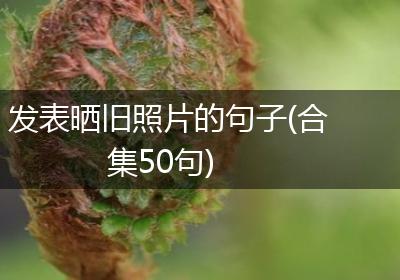 发表晒旧照片的句子(合集50句)