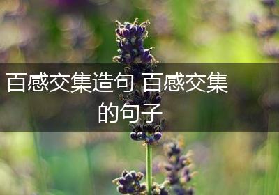 百感交集造句 百感交集的句子