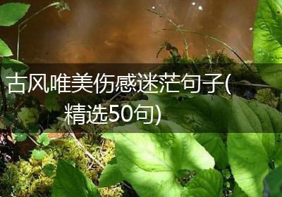 古风唯美伤感迷茫句子(精选50句)