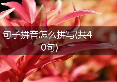 句子拼音怎么拼写(共40句)