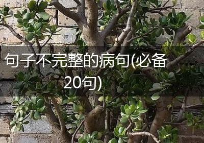 句子不完整的病句(必备20句)