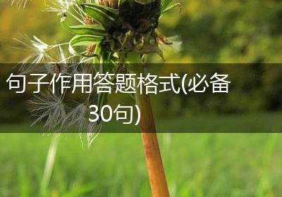 句子作用答题格式(必备30句)