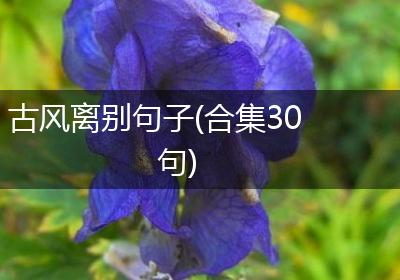 古风离别句子(合集30句)