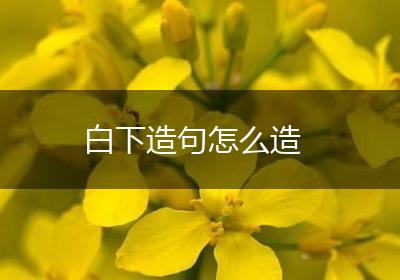 白下造句怎么造