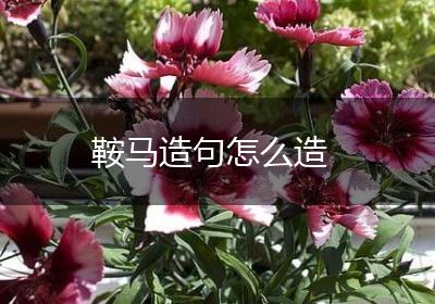 鞍马造句怎么造