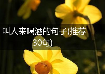 叫人来喝酒的句子(推荐30句)