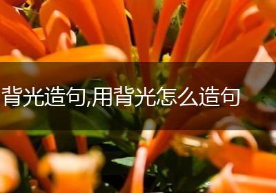 背光造句,用背光怎么造句