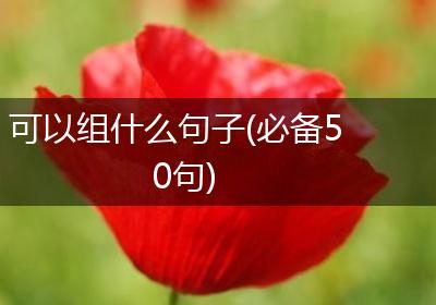 可以组什么句子(必备50句)