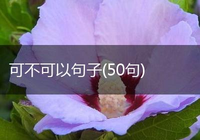 可不可以句子(50句)