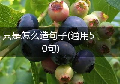 只是怎么造句子(通用50句)