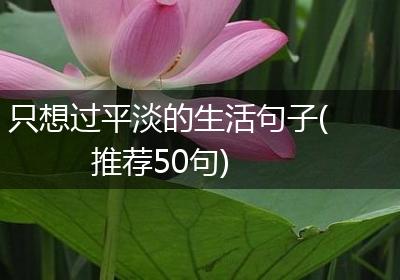 只想过平淡的生活句子(推荐50句)
