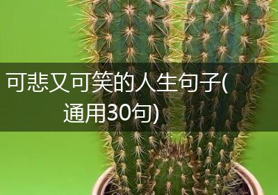 可悲又可笑的人生句子(通用30句)