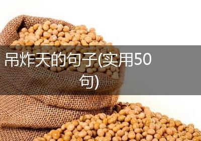 吊炸天的句子(实用50句)