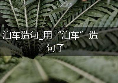 泊车造句_用“泊车”造句子