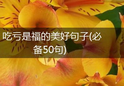 吃亏是福的美好句子(必备50句)