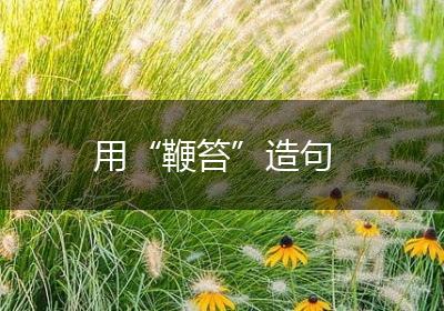 用“鞭笞”造句