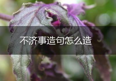 不济事造句怎么造