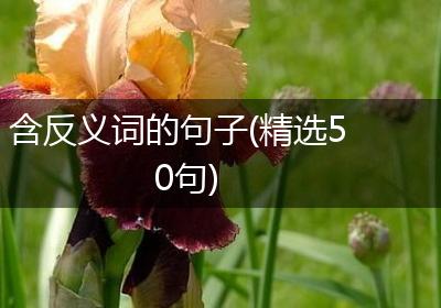 含反义词的句子(精选50句)