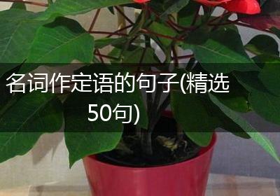 名词作定语的句子(精选50句)