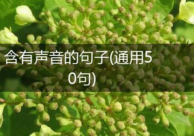 含有声音的句子(通用50句)