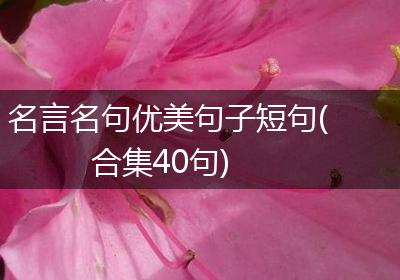 名言名句优美句子短句(合集40句)
