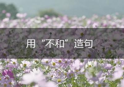 用“不和”造句