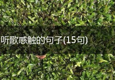 听歌感触的句子(15句)